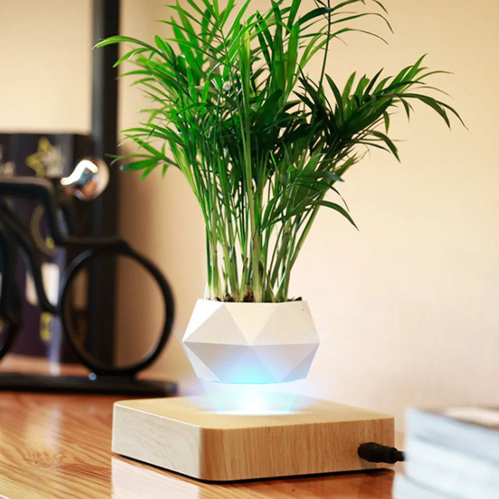 Levitating Leaf Planter