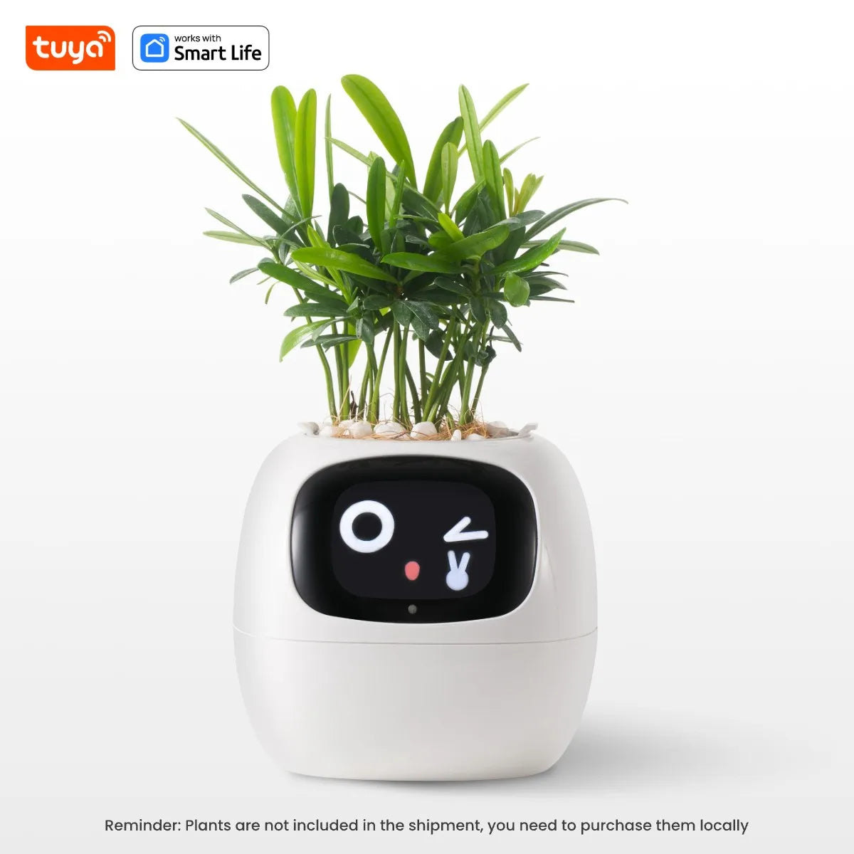 My Leaf Gotchi