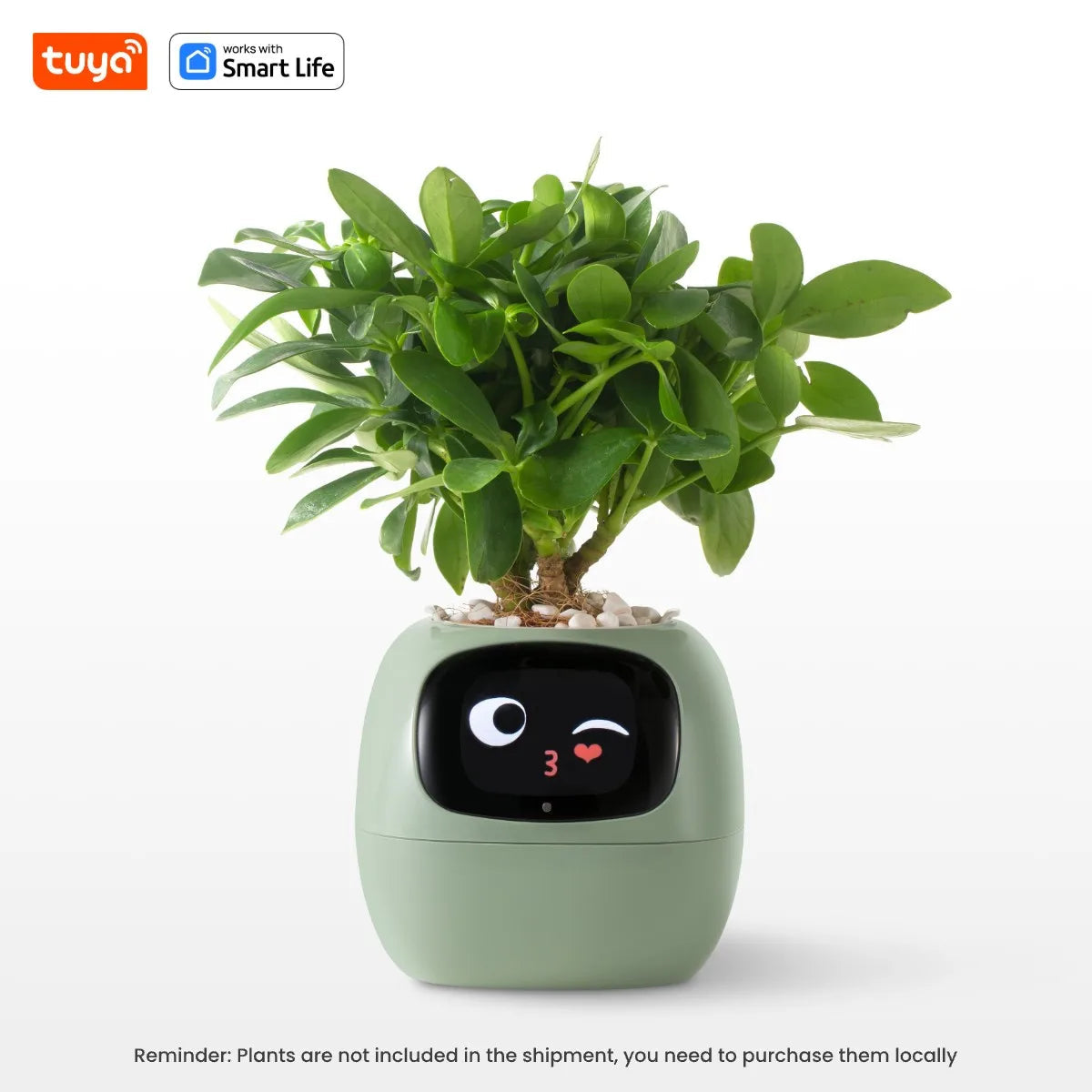 My Leaf Gotchi