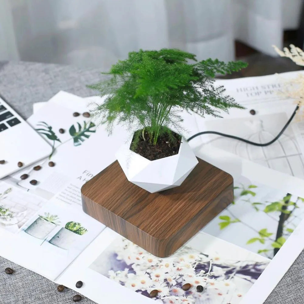 Levitating Leaf Planter