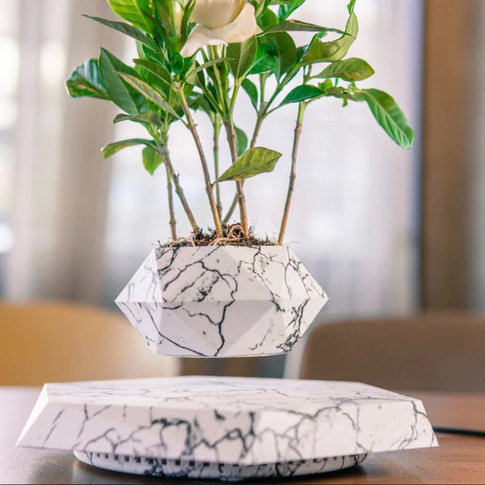 Levitating Leaf Planter