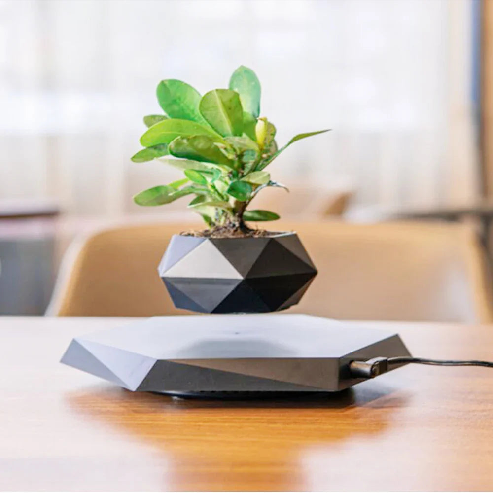Levitating Leaf Planter