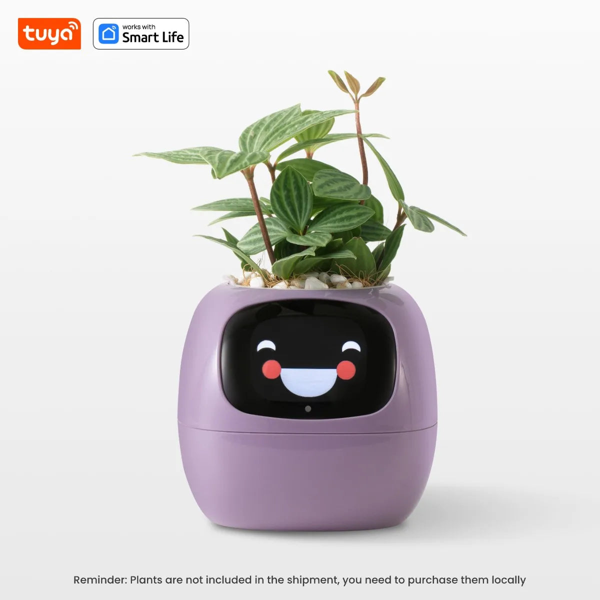 My Leaf Gotchi