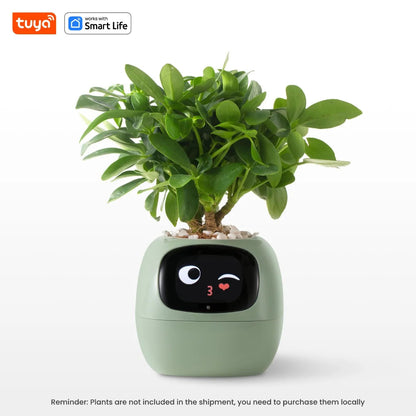 My Leaf Gotchi
